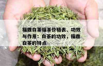 福鼎白茶福茶价格表、功效与作用：白茶的功效，福鼎白茶的特点