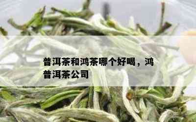 普洱茶和鸿茶哪个好喝，鸿普洱茶公司