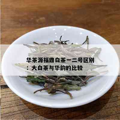 华茶源福鼎白茶一二号区别：大白茶与华韵的比较