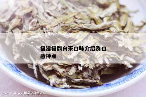 福建福鼎白茶口味介绍及口感特点