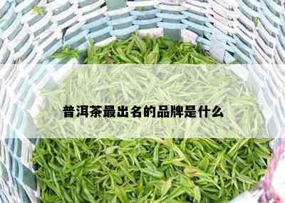 普洱茶最出名的品牌是什么