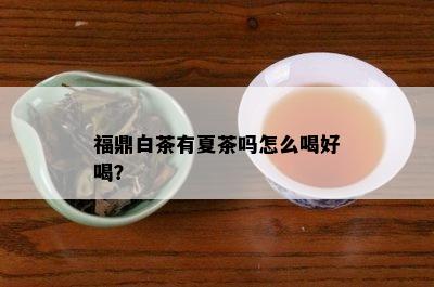 福鼎白茶有夏茶吗怎么喝好喝？