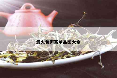 最火普洱茶单品图大全