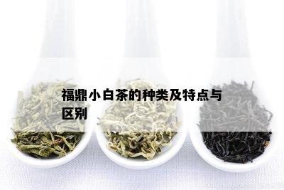 福鼎小白茶的种类及特点与区别