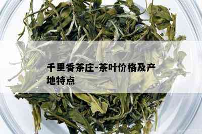 千里香茶庄-茶叶价格及产地特点