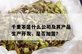 千里茶是什么公司及其产品生产开发，是否加盟？