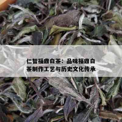 仁智福鼎白茶：品味福鼎白茶制作工艺与历史文化传承