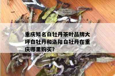 重庆知名白牡丹茶叶品牌大坪白牡丹和洛阳白牡丹在重庆哪里购买？