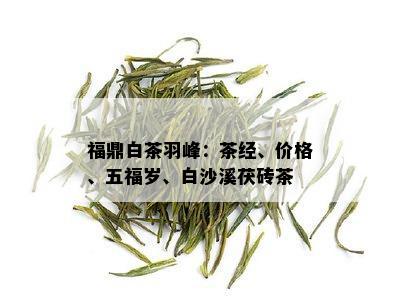 福鼎白茶羽峰：茶经、价格、五福岁、白沙溪茯砖茶