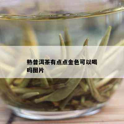 熟普洱茶有点点金色可以喝吗图片