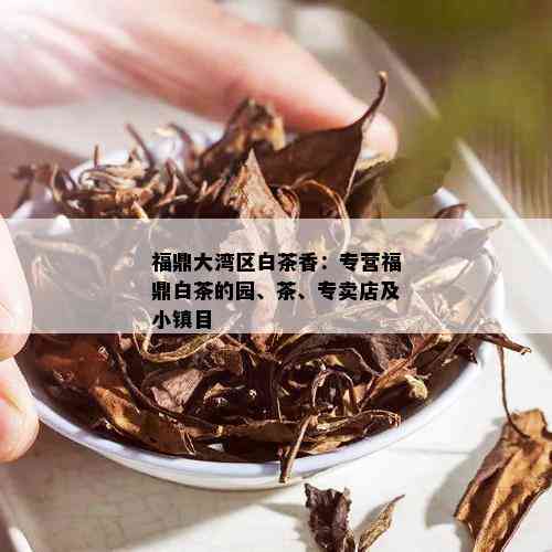 福鼎大湾区白茶香：专营福鼎白茶的园、茶、专卖店及小镇目