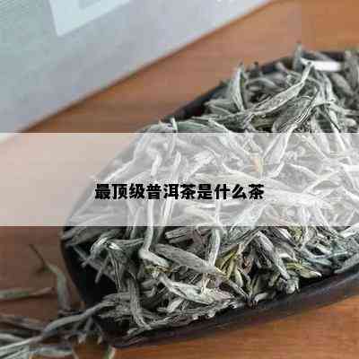 最顶级普洱茶是什么茶