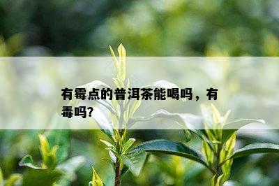 有霉点的普洱茶能喝吗，有吗？