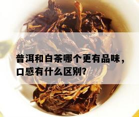 普洱和白茶哪个更有品味，口感有什么区别？