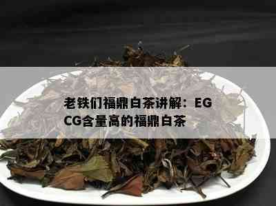 老铁们福鼎白茶讲解：EGCG含量高的福鼎白茶