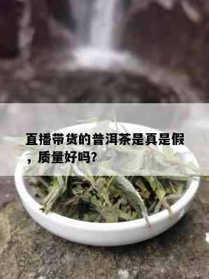 直播带货的普洱茶是真是假，质量好吗？