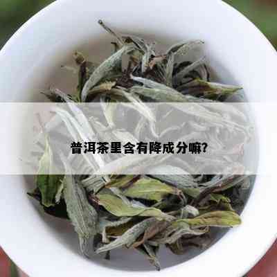 普洱茶里含有降成分嘛？