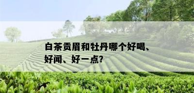 白茶贡眉和牡丹哪个好喝、好闻、好一点？