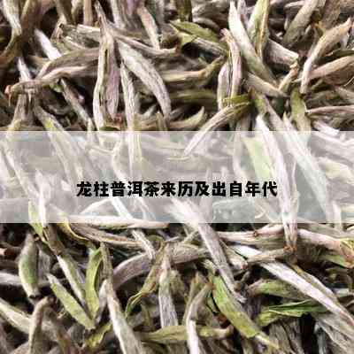 龙柱普洱茶来历及出自年代