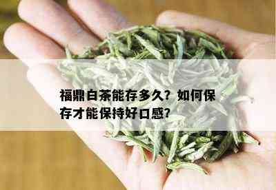 福鼎白茶能存多久？如何保存才能保持好口感？