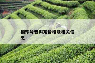 楠珍号普洱茶价格及相关信息