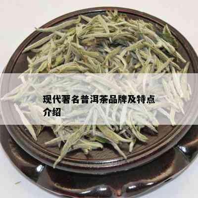 现代著名普洱茶品牌及特点介绍