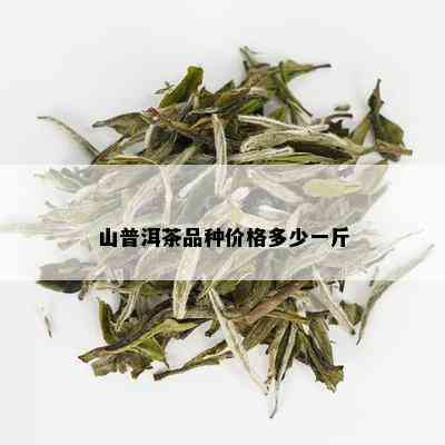 山普洱茶品种价格多少一斤