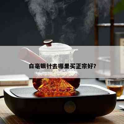 白毫银针去哪里买正宗好？