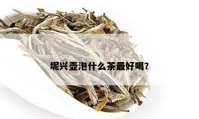 坭兴壶泡什么茶更好喝？