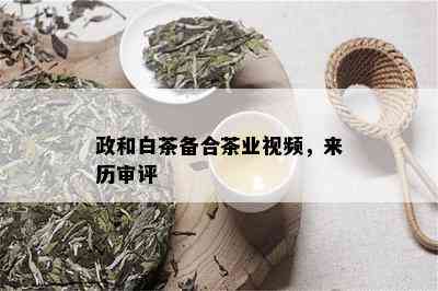 政和白茶备合茶业视频，来历审评