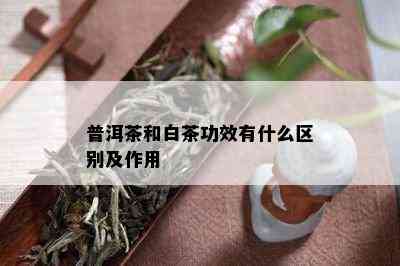 普洱茶和白茶功效有什么区别及作用