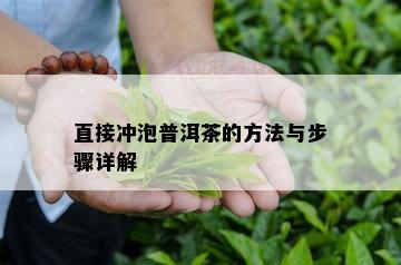 直接冲泡普洱茶的方法与步骤详解