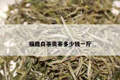 福鼎白茶贡茶多少钱一斤