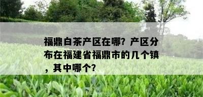 福鼎白茶产区在哪？产区分布在福建省福鼎市的几个镇，其中哪个？