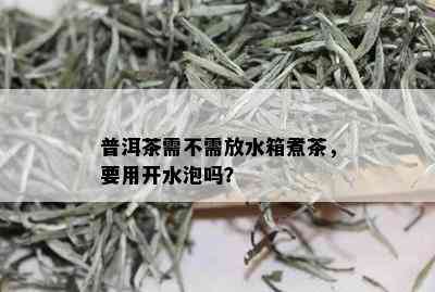 普洱茶需不需放水箱煮茶，要用开水泡吗？