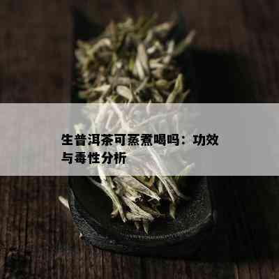 生普洱茶可蒸煮喝吗：功效与性分析