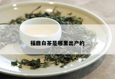 福鼎白茶是哪里出产的