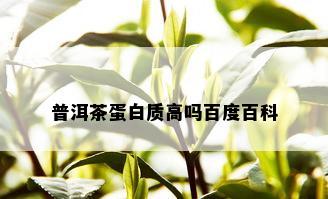 普洱茶蛋白质高吗百度百科