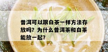 普洱可以跟白茶一样方法存放吗？为什么普洱茶和白茶能放一起？