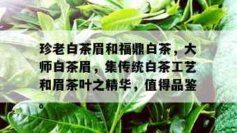 珍老白茶眉和福鼎白茶，大师白茶眉，集传统白茶工艺和眉茶叶之精华，值得品鉴。