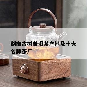 湖南古树普洱茶产地及十大名牌茶厂