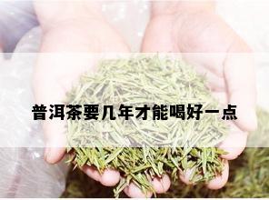 普洱茶要几年才能喝好一点