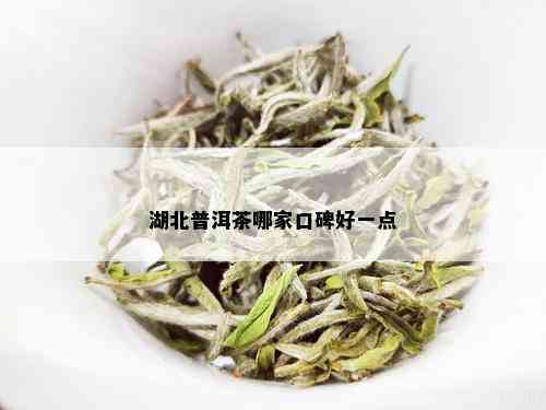 湖北普洱茶哪家口碑好一点