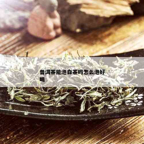 普洱茶能泡白茶吗怎么泡好喝