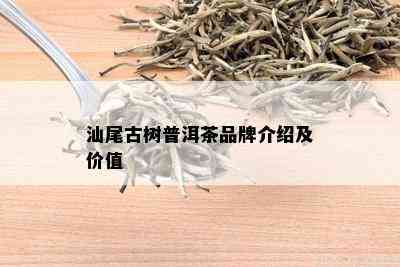 汕尾古树普洱茶品牌介绍及价值