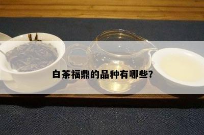 白茶福鼎的品种有哪些？