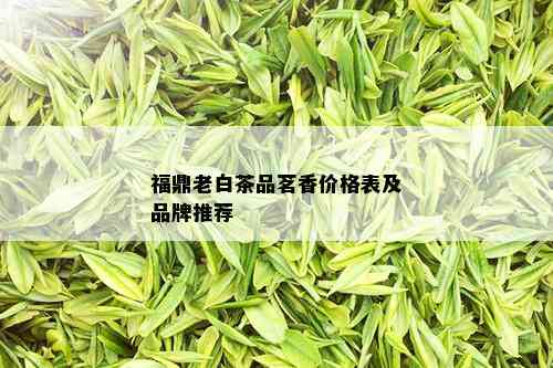 福鼎老白茶品茗香价格表及品牌推荐