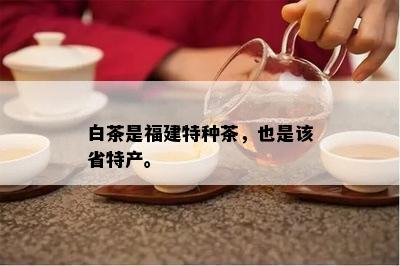 白茶是福建特种茶，也是该省特产。