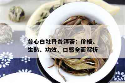 普心白牡丹普洱茶：价格、生熟、功效、口感全面解析