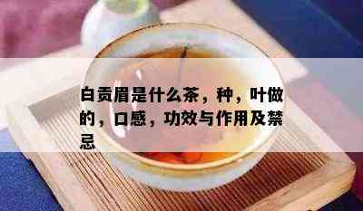 白贡眉是什么茶，种，叶做的，口感，功效与作用及禁忌